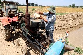 Yellow River Drought-resistant