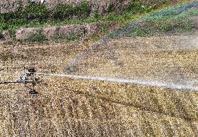 Yellow River Drought-resistant