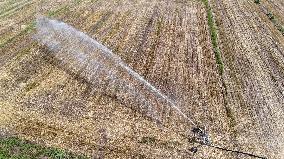 Yellow River Drought-resistant