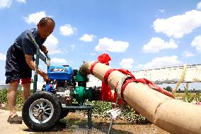 Yellow River Drought-resistant