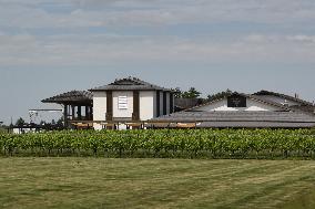 Wine Production In Niagara-on-the Lake