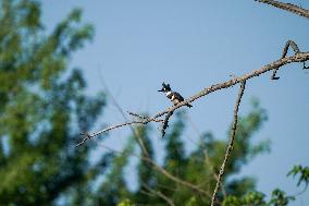 Wildlife At The Oxbow Nature Conservancy