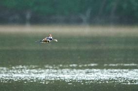 Wildlife At The Oxbow Nature Conservancy