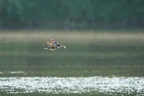 Wildlife At The Oxbow Nature Conservancy