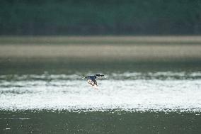 Wildlife At The Oxbow Nature Conservancy