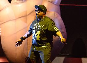 Ice Cube In Concert - Florida