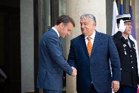 Emmanuel Macron and Viktor Orban - Paris