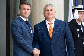 Emmanuel Macron and Viktor Orban - Paris