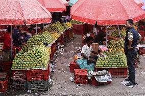 Season Of Mango In Nepal