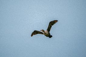 Wildlife At The Oxbow Nature Conservancy