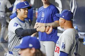 Baseball: Dodgers vs. White Sox