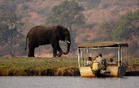 BOTSWANA-ELEPHANT MIGRATION-CLIMATE CHANGE