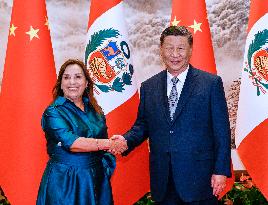 CHINA-BEIJING-XI JINPING-PERUVIAN PRESIDENT-TALKS (CN)