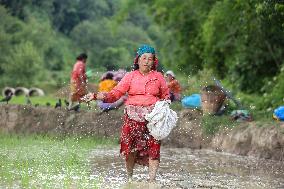 Monsoon Rain In Nepal