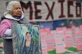 Irinea Buendia, Mother Of Mariana Lima Buendia, Victim Of Feminicide