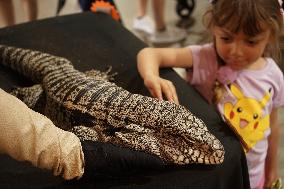 U.S.-LOS ANGELES-PET FAIR