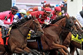 Thoroughbred Horse Racing At Woodbine Racetrack - June 29, 2024