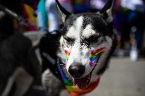 International Pride Parade Demonstrations in Bogota, Colombia