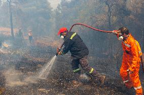 Wildfires Blaze Near Athens