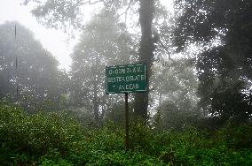 Singalila National Park Landscapes