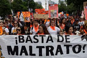 Organizations March In Favor Of Animals In Mexico City