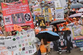 Organizations March In Favor Of Animals In Mexico City