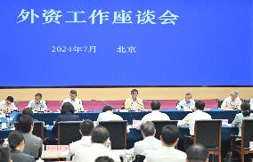 CHINA-BEIJING-HE LIFENG-SYMPOSIUM-FOREIGN INVESTMENT WORK (CN)