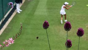 (SP)BRITAIN-LONDON-TENNIS-WIMBLEDON-DAY 1