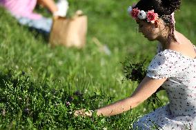 Wreaths Festival In Krakow