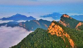 #CHINA-HEBEI-WUYUEZHAI FOREST PARK-VIEWS (CN)