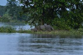 Flood In Assam