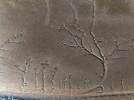 Wetland Tidal Tree Shape