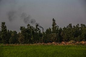 Daily Life In Kashmir