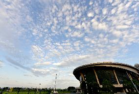 Fish Scale Cloud