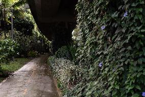 Medellin Green Corridors