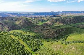 CHINA-INNER MONGOLIA-DAQINGSHAN NATIONAL NATURE RESERVE-SCENERY (CN)