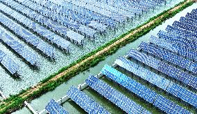 An Aquatic Photovoltaic Project in Qingdao