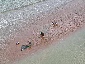Fishermen Catch Shrimp