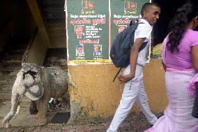 Presidential Election In Sri Lanka