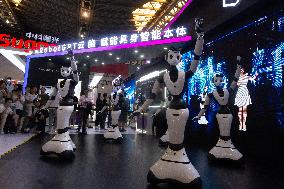 WAIC Public Viewing Day In Shanghai 2024