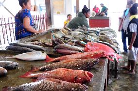Koki Fish Market - Papua New Guinea