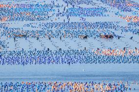 Abalone Harvest in Fuzhou