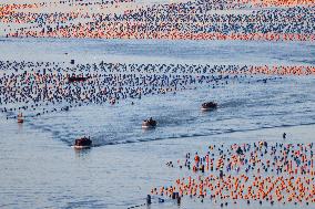 Abalone Harvest in Fuzhou