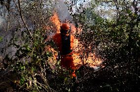 (SpotNews) BRAZIL-CORUMBA-PANTANAL WETLAND-FIRE