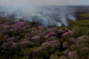 (SpotNews) BRAZIL-CORUMBA-PANTANAL WETLAND-FIRE