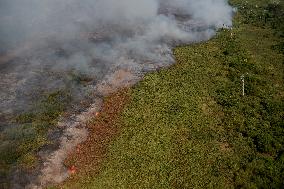 (SpotNews) BRAZIL-CORUMBA-PANTANAL WETLAND-FIRE