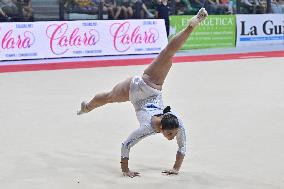 Gymnastics - Campionati Nazionali Assoluti Ginnastica Artistica