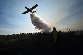 Forest Fire In Corumba - Brazil