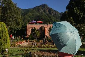 Mughal Garden In Kashmir