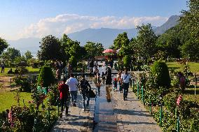 Mughal Garden In Kashmir
